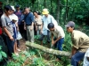 o_parcelas experimentales en selva trop